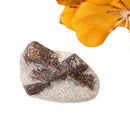 Staurolite Rough Specimen (Connect with Nature)