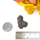 Staurolite Rough Specimen (Connect with Nature)