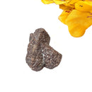 Staurolite Rough Specimen (Connect with Nature)