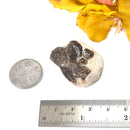 Staurolite Rough Specimen (Connect with Nature)