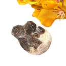 Staurolite Rough Specimen (Connect with Nature)