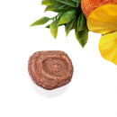 Stromatolite Mineral Specimen (Morocco)