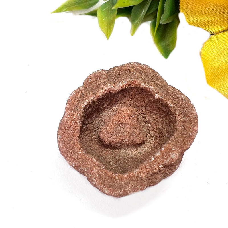 Stromatolite Mineral Specimen (Morocco)