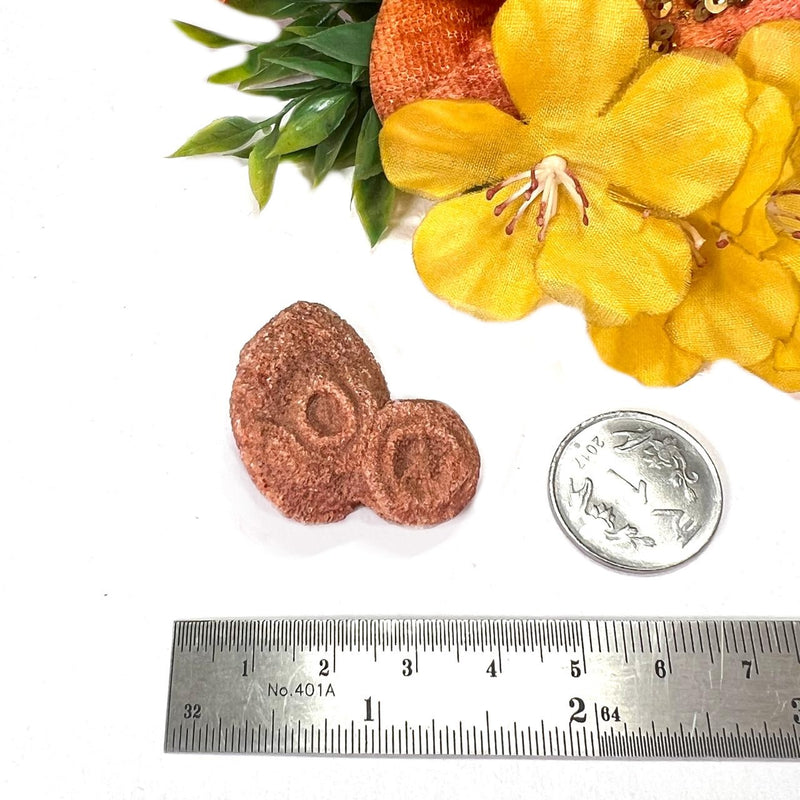 Stromatolite Mineral Specimen (Morocco)