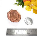 Stromatolite Mineral Specimen (Morocco)