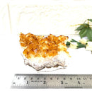 Supreme Wealth Manifestation Crystal Bundle