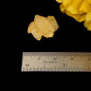 Natural Citrine from Switzerland for Career Boost (Not Heated)
