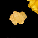 Natural Citrine from Switzerland for Career Boost (Not Heated)