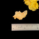 Natural Citrine from Switzerland for Career Boost (Not Heated)