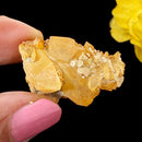 Natural Citrine from Switzerland (Career) (Not Heated)