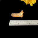 Natural Citrine from Switzerland for Career Boost (Not Heated)