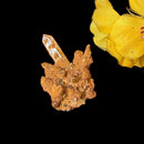 Natural Citrine from Switzerland for Career Boost (Not Heated)