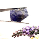 Tanzanite Rough AAA (Spiritual Exploration)