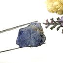 Tanzanite Rough AAA (Spiritual Exploration)