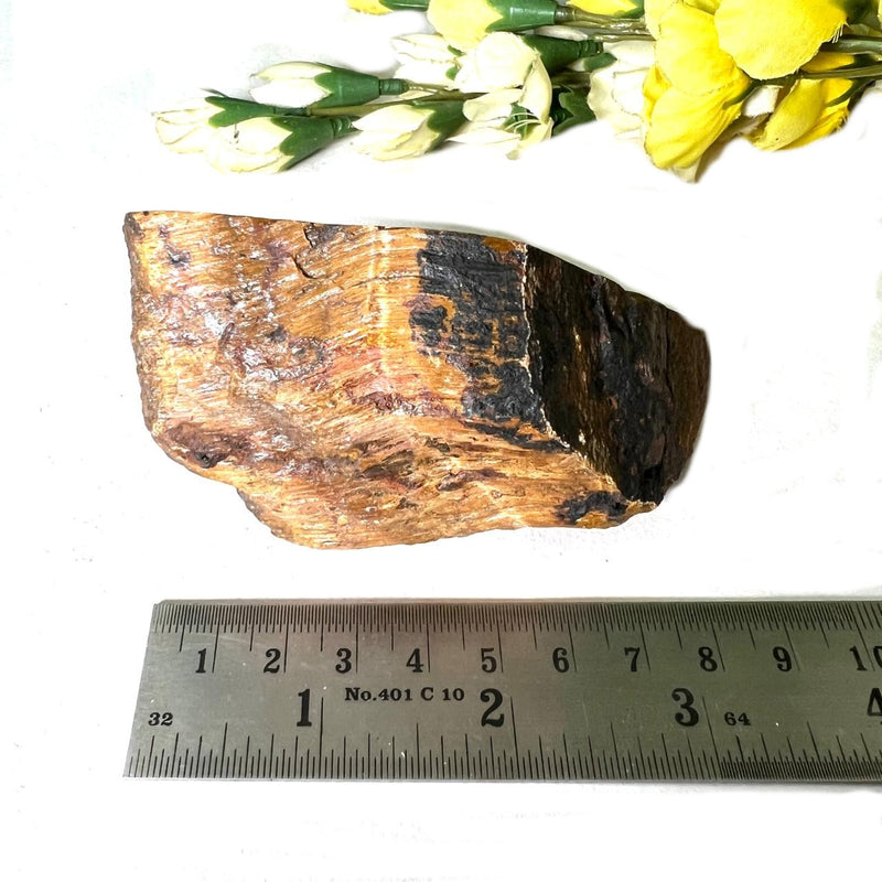 Tiger Eye One Side Polished Rough (Confidence)