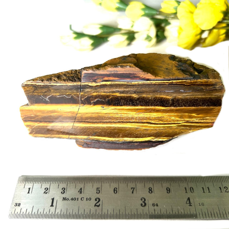 Tiger Eye One Side Polished Rough (Confidence)