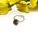 Tiger Eye Adjustable Ring in Silver