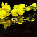 Tiger Eye Adjustable Ring in Silver