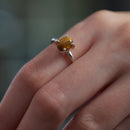 Tiger Eye Adjustable Ring in Silver
