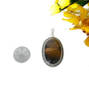 Tiger Eye Premium Pendants in Silver (Courage)