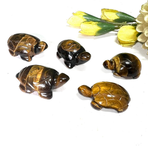 Turtles in Tiger Eye (Will Power)