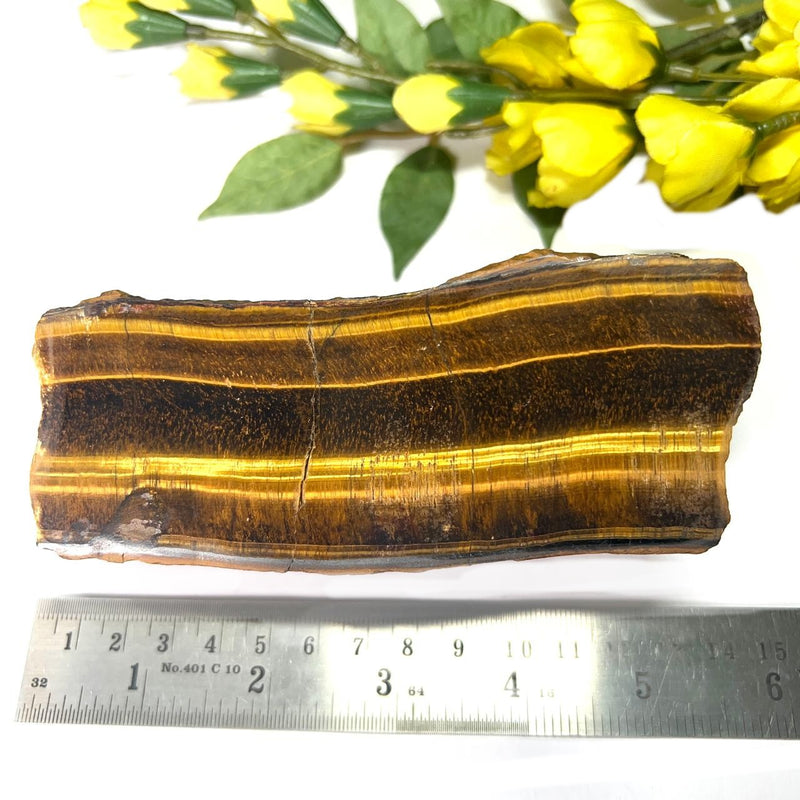 Tiger Eye One Side Polished Rough (Confidence)