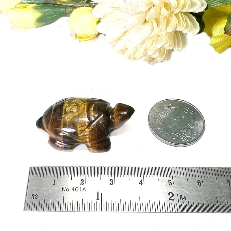 Turtles in Tiger Eye (Will Power)