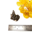 Titanite on Rutile Ilmenite and Albite Mineral Specimen