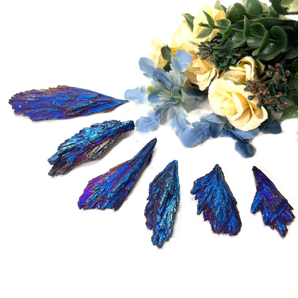 Titanium Aura Kyanite Rough