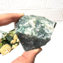 Tree Agate Rough (Abundance and Growth)