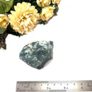 Tree Agate Rough (Abundance and Growth)