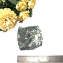 Tree Agate Rough (Abundance and Growth)