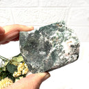 Tree Agate Rough (Abundance and Growth)