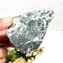 Tree Agate Rough (Abundance and Growth)