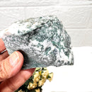 Tree Agate Rough (Abundance and Growth)