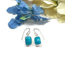 Turquoise Earrings in Silver
