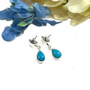 Turquoise Earrings in Silver