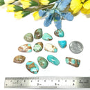 Turquoise Cabochons from Mexico (Communication and Psychic Powers)