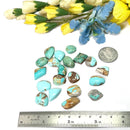 Turquoise Cabochons from Mexico (Communication and Psychic Powers)