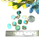 Turquoise Cabochons from Mexico (Communication and Psychic Powers)