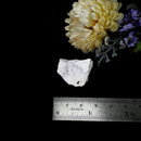 Ussingite Mineral Specimen (Serene High Vibration)