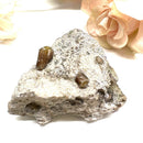 Vesuvianite on Matrix Mineral Specimen (Encourages Team work)