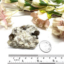 Vesuvianite on Matrix Mineral Specimen (Encourages Team work)