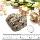 Vesuvianite on Matrix Mineral Specimen (Encourages Team work)