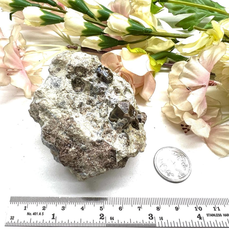 Vesuvianite on Matrix Mineral Specimen (Encourages Team work)