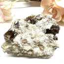 Vesuvianite on Matrix Mineral Specimen (Encourages Team work)