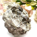 Vesuvianite on Matrix Mineral Specimen (Encourages Team work)