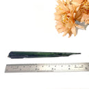 Vivianite Rough Points and Clusters (heart healing with fairies)