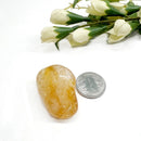 Supreme Wealth Manifestation Crystal Bundle