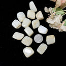 White Moonstone Tumble (Emotional Balance)